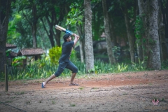 Cricket-compressed