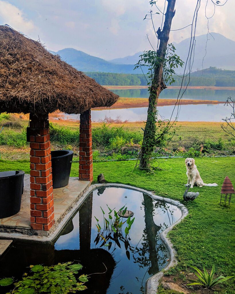 4-Pet-friendly-Anantya-By-the-Lake